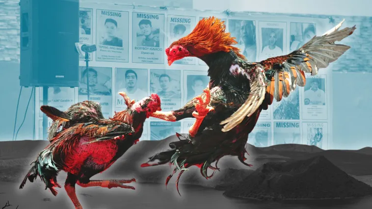 Cách Chơi Đá Gà Sabong Tại 666VN Dễ Hiểu Nhất Cho Tân Thủ