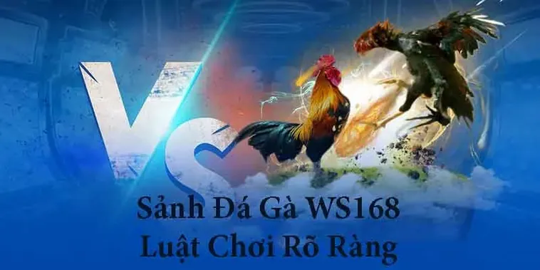 Cách Chơi Đá Gà WS168 Tại 666VN Thắng Lớn Từ Chuyên Gia