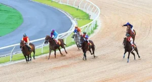 Chiến Thuật Tìm Hiểu Cá Cược Đua Ngựa 666VN Hiệu Quả